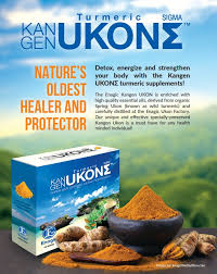 Ukon Turmeric Capsules