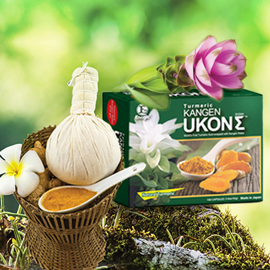 Ukon Turmeric Capsules