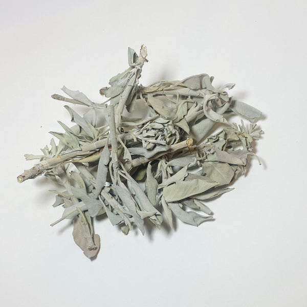 White Sage, Loose Leaf by the Ounce